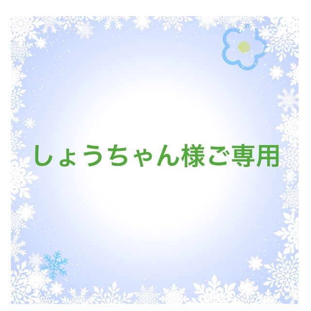 しょうちゃん様ご専用 www.lewaa.sa