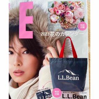 エルエルビーン(L.L.Bean)のLEE (リー) 2023年 02月号　付録(その他)