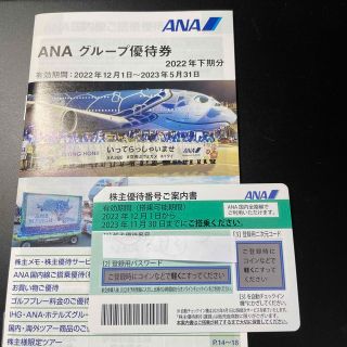 エーエヌエー(ゼンニッポンクウユ)(ANA(全日本空輸))のANA 株式優待権(その他)