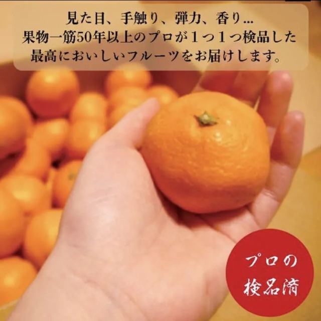 (ももたろう様専用)みかん 小玉 10kg×2箱 2s 食品/飲料/酒の食品(フルーツ)の商品写真