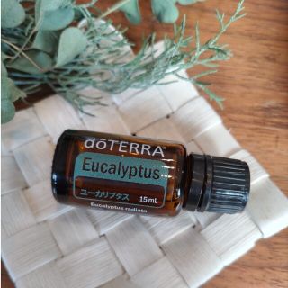 ドテラ(doTERRA)のdoTERRA　ユーカリプタス15ml(エッセンシャルオイル（精油）)