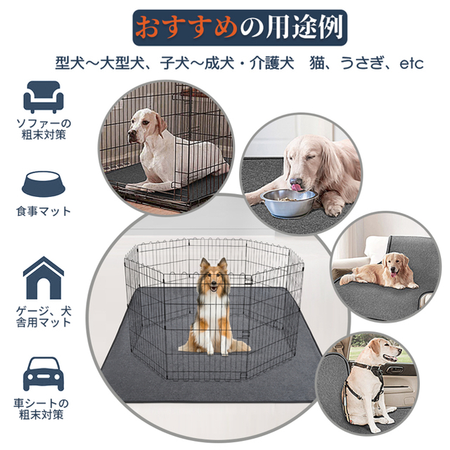 犬 猫用洗えるペットシーツ 下敷き （165x122cm　2枚セット） その他のペット用品(犬)の商品写真