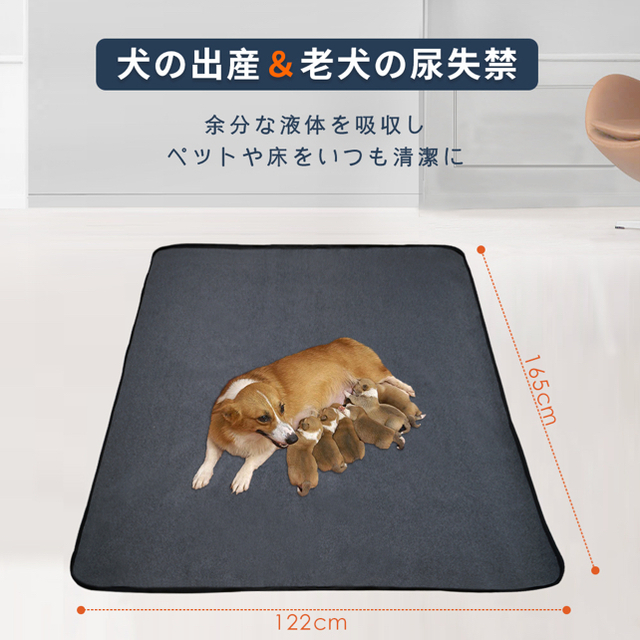 犬 猫用洗えるペットシーツ 下敷き （165x122cm　2枚セット） その他のペット用品(犬)の商品写真