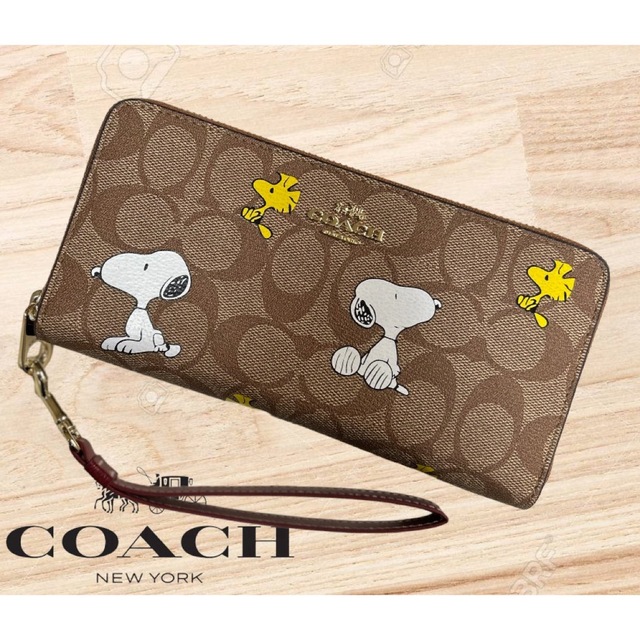 COACH - COACH×PEANUTS スヌーピー&ウッドストック シグネチャーリスト