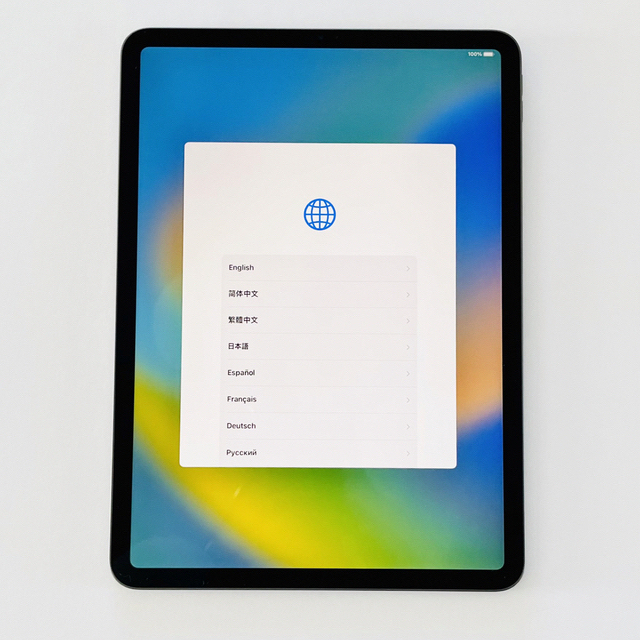 tani_potoさん限定[第2世代] iPad Pro 11インチ 256GB