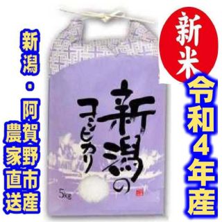 新米・令和4年産新潟コシヒカリ　白米5kg×1個★農家直送★色彩選別済08(米/穀物)