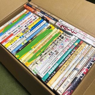 カドカワショテン(角川書店)のワイド漫画　いろいろ　29冊(青年漫画)