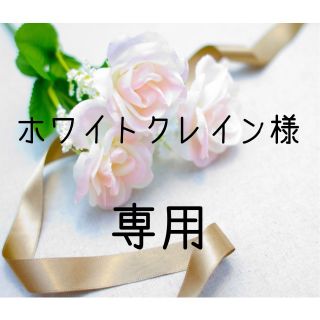 ホワイトクレイン様専用 お米 令和4年　愛媛県産コシヒカリ　白米　30㎏(米/穀物)
