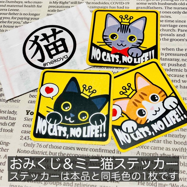 【アメショ】猫がいます四角ステッカー5y　ネコねこシール その他のペット用品(猫)の商品写真