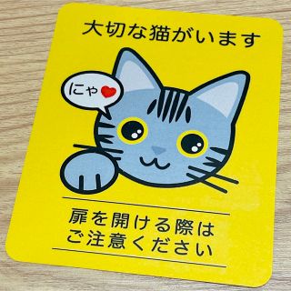 【アメショ】猫がいます四角ステッカー5y　ネコねこシール(猫)