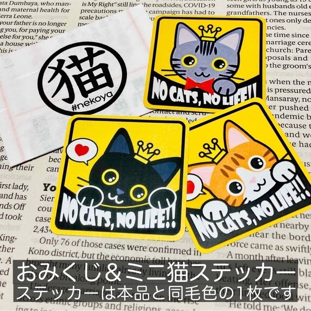 【クロ】猫がいます四角ステッカー5y　ネコねこシール その他のペット用品(猫)の商品写真