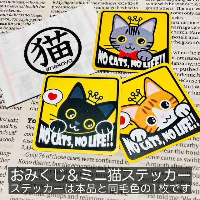 【キジシロ】猫がいます四角ステッカー5y　ネコねこシール その他のペット用品(猫)の商品写真