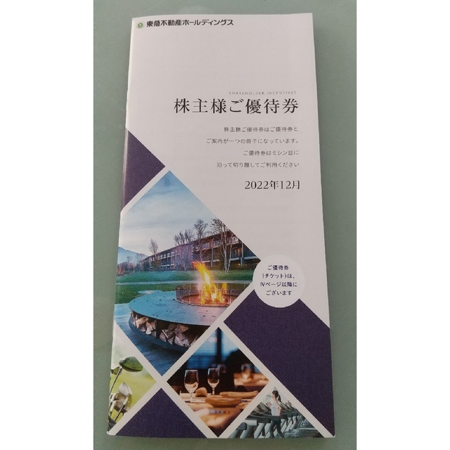 【最新】東急不動産 ホールディングス 株主優待券 チケットの優待券/割引券(宿泊券)の商品写真