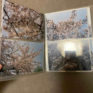 ムジルシリョウヒン(MUJI (無印良品))の無印良品　アルバム　桜　写真(ファイル/バインダー)