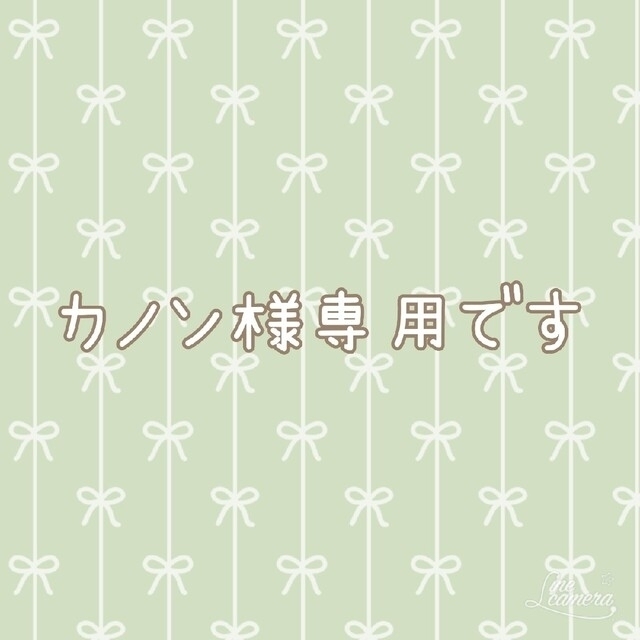 日本限定モデル】 カノンです キッチン小物 - www.ywcastpaul.org