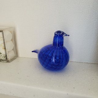 イッタラ(iittala)のiittala　バードコレクション(ガラス)