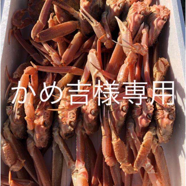 かめ吉様専用19日〜23日着希望 【サイズ交換OK】 72.0%OFF noxcapital.de