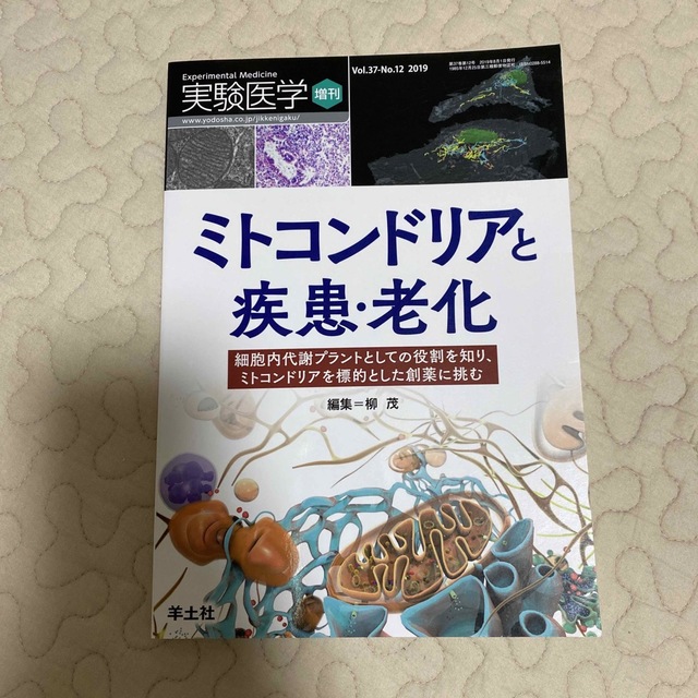 実験医学　2019年8月　増刊号 エンタメ/ホビーの本(健康/医学)の商品写真