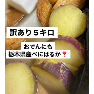 箱込み5キロ 紅はるか　さつまいも　サツマイモ　薩摩芋(野菜)