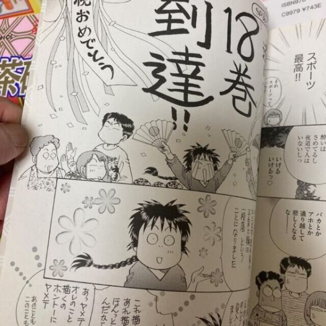 送料無料　国際結婚家族マンガ インド夫婦茶碗 １ー18巻セット 流水りんこ