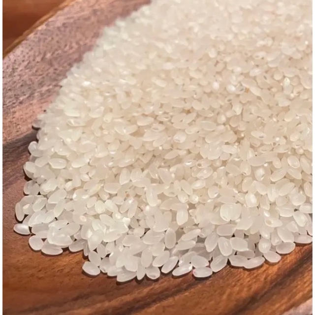 20キロ　天日干し米　自然栽培無農薬　R4年度愛媛県産にこまる米　米/穀物