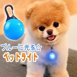 ★セール★ 犬 ライト 首輪  ペット LED セーフティ 散歩 ブルー 青(リード/首輪)