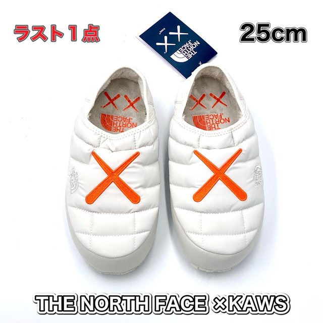 THE NORTH FACE(ザノースフェイス)のTHE NORTH FACE KAWS ノースフェイス カウズ 25cm  メンズの靴/シューズ(スリッポン/モカシン)の商品写真
