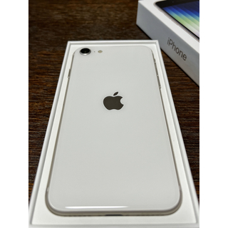 Apple - iPhone SE 第3世代　256GB