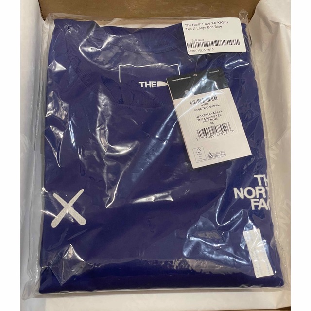 THE NORTH FACE XX KAWS TEE ザ ノースフェイス