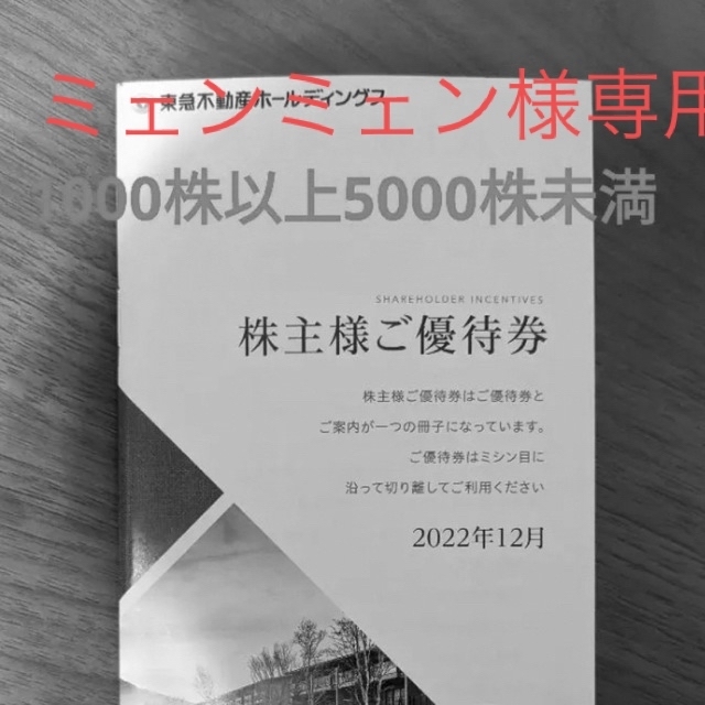 最新版】東急不動産ホールディングス株主優待券【1000～5000株未満】