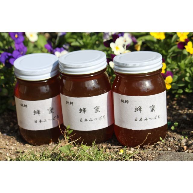 純粋 蜂蜜　日本みつばち 600g×3本