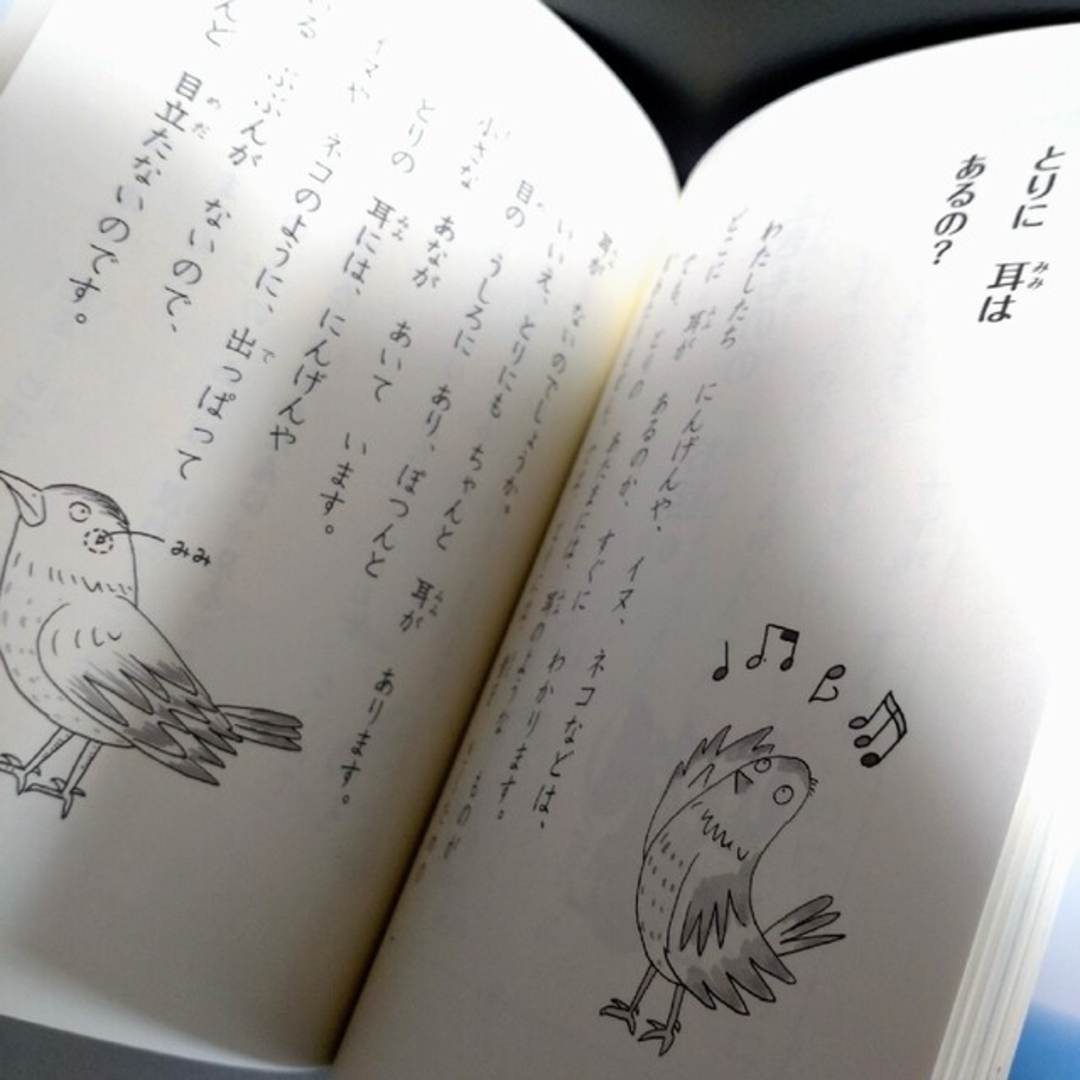 1年生 ほんとうにあったお話 かがくのお話 わらい話 ことわざ 4冊 セット エンタメ/ホビーの本(絵本/児童書)の商品写真