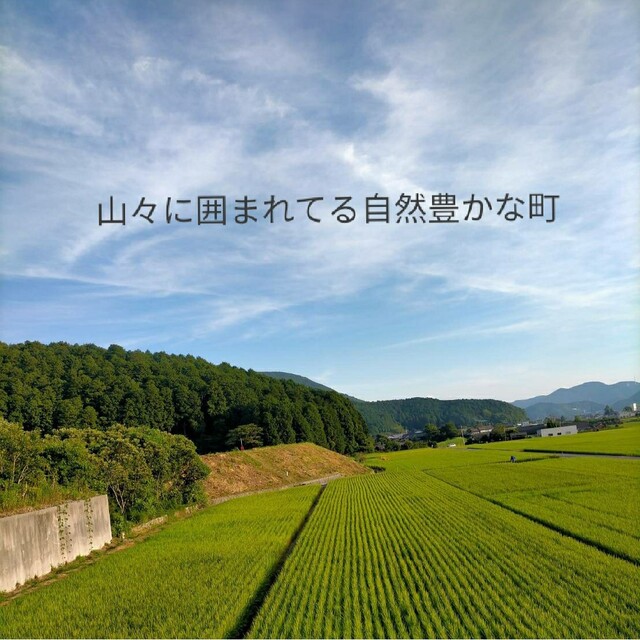 【あや様専用】愛媛県産あきたこまち100%新米１０Kg 食品/飲料/酒の食品(米/穀物)の商品写真