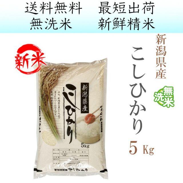 コシヒカリ 新米、特A。 玄米25Kg「無洗米に精米します」超希 www