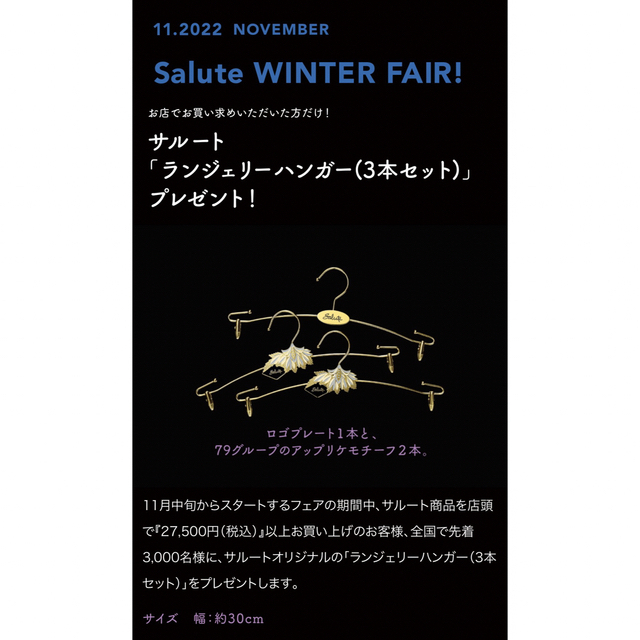 Wacoal - Salute ランジェリーハンガー 2点セットの通販 by Wacoal - Salute ランジェリーハンガー 2点セットの通販 by