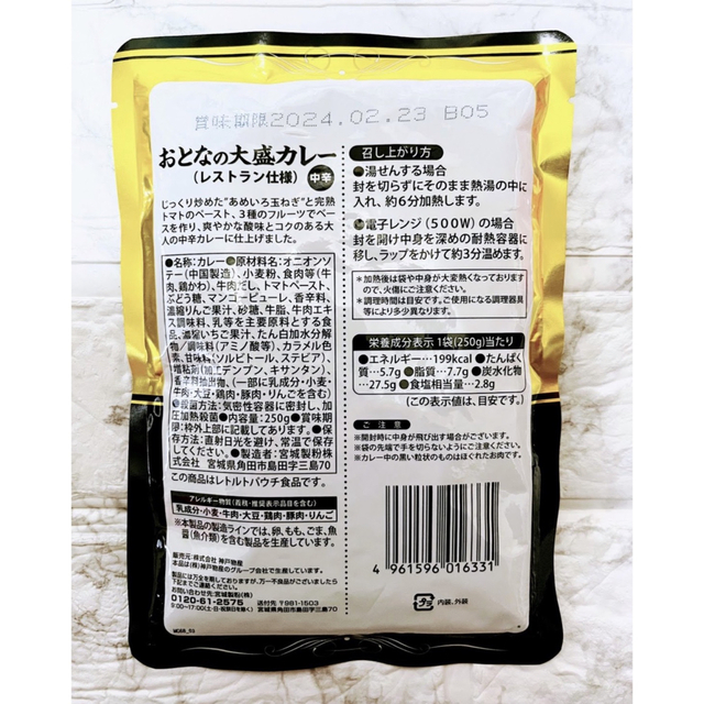 大人気!おとなの大盛カレー2袋セット500円で買えるものポイント消費 通販 レトルトカレー おとなの大盛カレー 中辛 2袋セット 500円で買えるもの