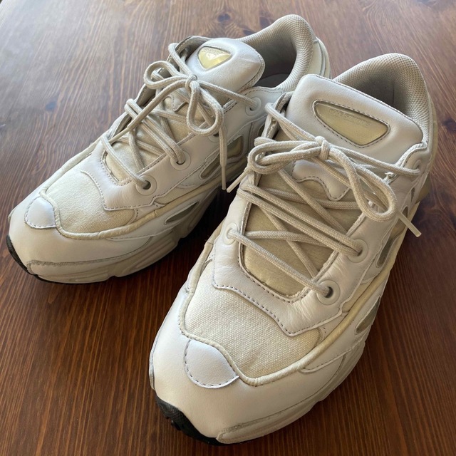 メンズRaf Simons OZWEEGGO lll