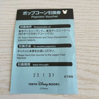 東京ディズニーランド、シーなどペアチケット引換券 - library