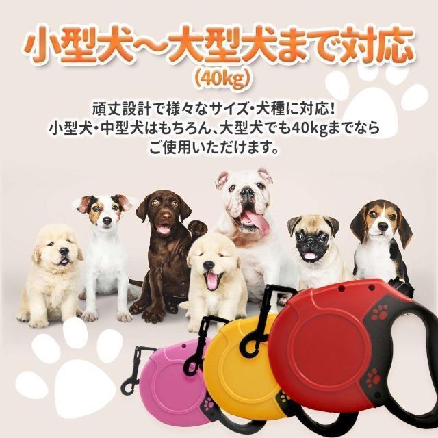 限定版 正規品 ワンダフルシモンズ 幅62cm×奥47cm×高26cm veme.fi