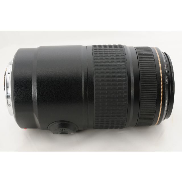 【大迫力望遠】Canon EF 75-300mm F4-5.6 IS 手ブレ機能