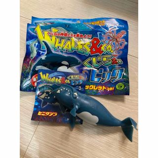 新作！ディアゴスティーニWHALES＆CO　くじら＆CO　ビッグ　セミクジラ(その他)