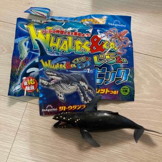 新作！ディアゴスティーニ　WHALES＆CO　くじら＆CO　ビッグ　ザトウクジラ(その他)