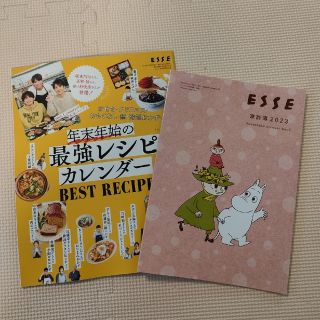 ムーミン(MOOMIN)のESSE1月号別冊付録　ムーミン家計簿＆レシピカレンダー(住まい/暮らし/子育て)