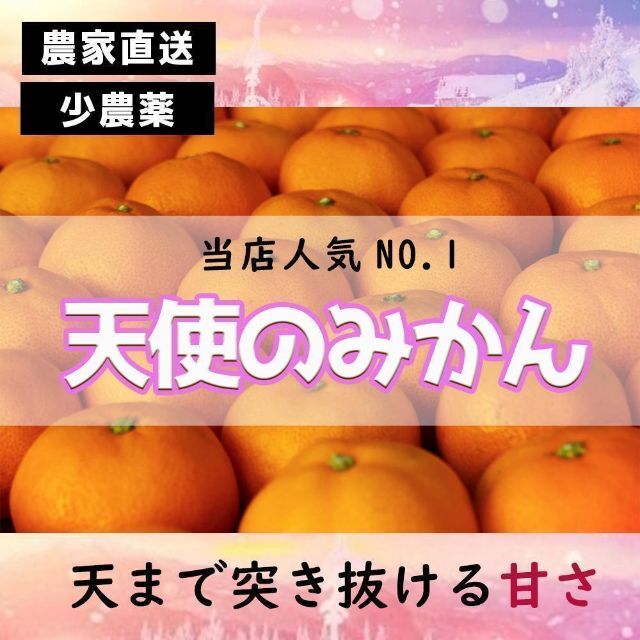 土曜日発送！小玉の有田みかん【天使のみかん】 甘すぎるとリピ続出！10kg糖度13度越え