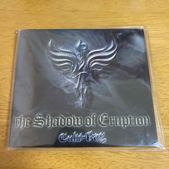 the Shadow of Eruption エンタメ/ホビーのCD(ポップス/ロック(邦楽))の商品写真