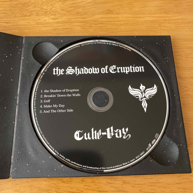 the Shadow of Eruption エンタメ/ホビーのCD(ポップス/ロック(邦楽))の商品写真