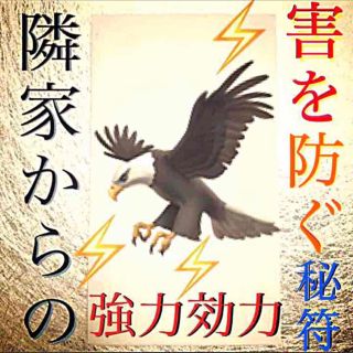 護符✨ ◉隣家からの害を防ぐ秘符◉[✨家内安全、災難除け、霊符、お守り、占い](その他)