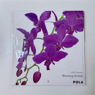 ポーラ(POLA)のpola ポーラ2023年カレンダー(カレンダー/スケジュール)