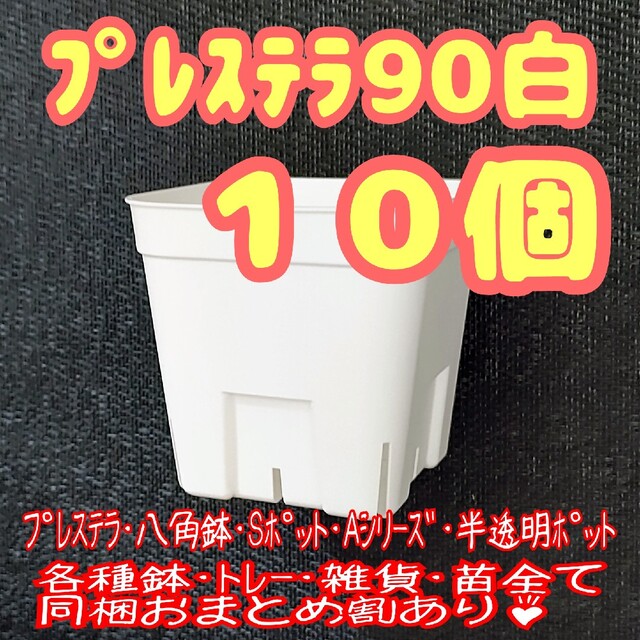 【スリット鉢】プレステラ90白10個 多肉植物 プラ鉢 ハンドメイドのフラワー/ガーデン(プランター)の商品写真