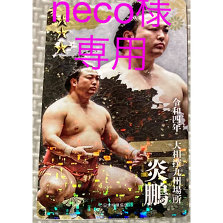 大相撲コレクショントレカ　炎鵬(相撲/武道)